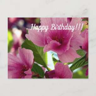 Happy Birthday Postcard