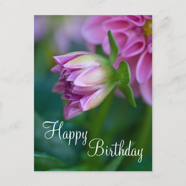 Happy Birthday Postcard (Front)