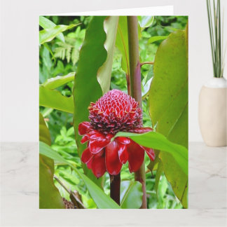 Happy Birthday postcard from Hawaii