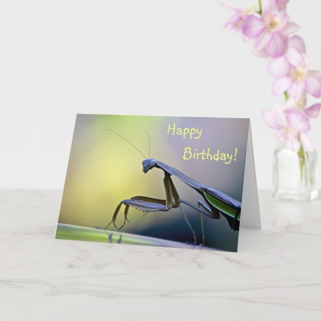 Happy Birthday Praying Mantis Card (Orchid)