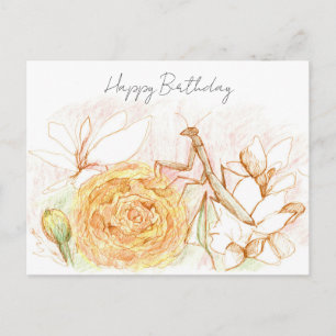 Happy Birthday Praying Mantis Garden Bug Postcard