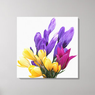 Happy Birthday pretty floral colourful crocus cute Canvas Print