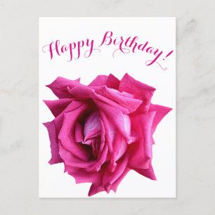 Happy birthday pretty hot pink rose colour floral postcard