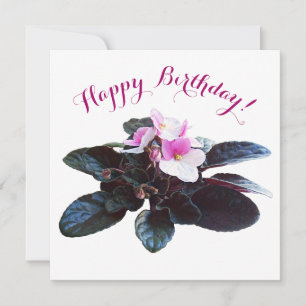 Happy birthday pretty pink flowers stylish floral holiday card