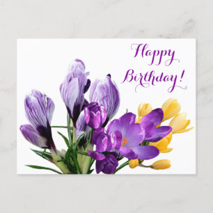Happy Birthday pretty purple crocus flowers floral Postcard