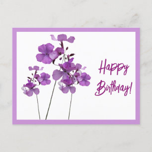 Happy Birthday pretty purple wild flowers floral Postcard