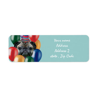 Happy Birthday pug dog