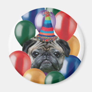 Happy birthday Pug dog Magnet