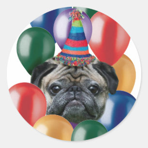 Happy birthday Pug dog Stickers