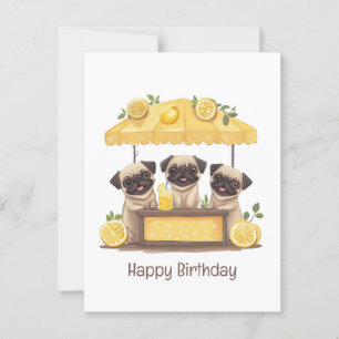 Happy Birthday Pug Dogs Lemonade Stand Postcard