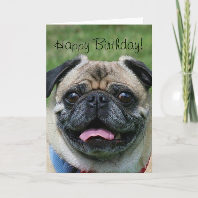 Happy Birthday Pug Greeting Card (Front)