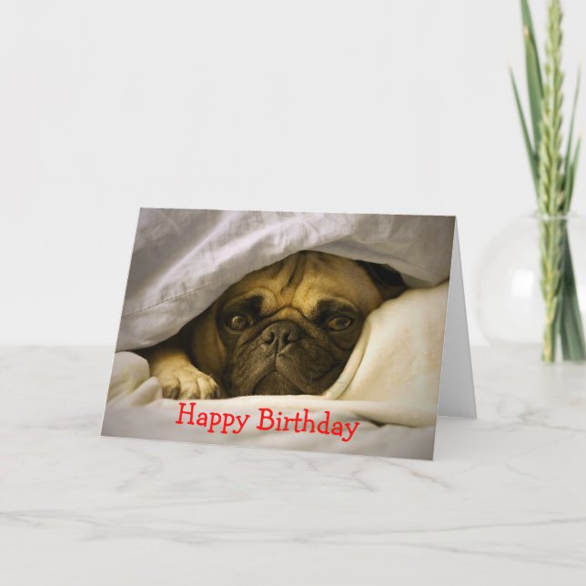 Happy Birthday Pug Puppy Dog Greeting Card (Front)