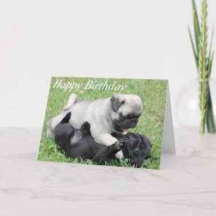 Happy Birthday Pug Puppy Dog Greeting Card