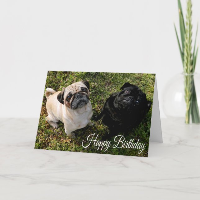 Happy Birthday Pug Puppy Dog Greeting Card (Front)