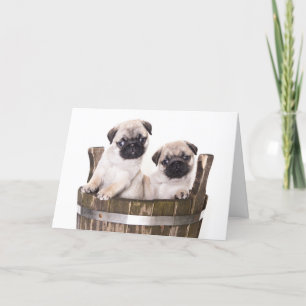 Happy Birthday Pug Puppy Dog Greeting Card - Verse