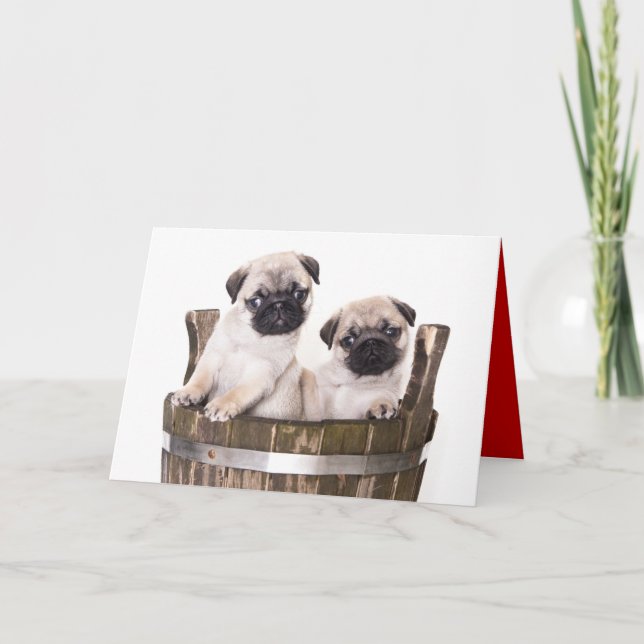 Happy Birthday Pug Puppy Dog Greeting Card - Verse (Front)