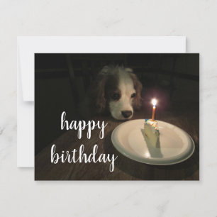 Happy Birthday Puppy Blank Greeting Card