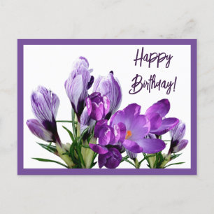 Happy Birthday purple crocuses flowers boho cute Postcard
