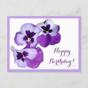 Happy Birthday purple pansy flowers boho Postcard