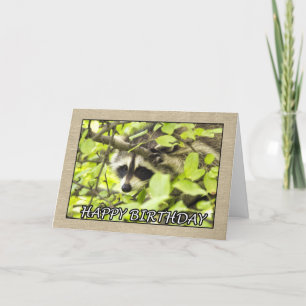 Happy Birthday Raccoon In Tree Card