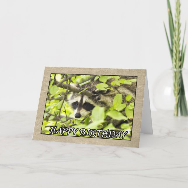 Happy Birthday Raccoon In Tree Card (Front)