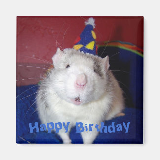 Happy Birthday Rat Magnet