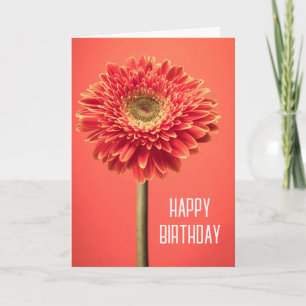 Happy Birthday Red Barberton Gerbera Daisy Card