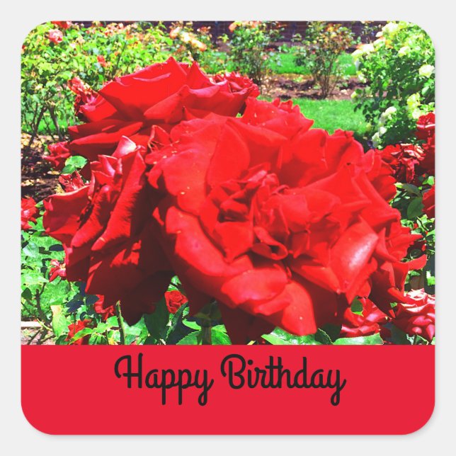 Happy Birthday Red Rose #1 Stickers (Front)