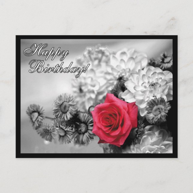 Happy Birthday! Red Rose with Black and White Postcard (Front)