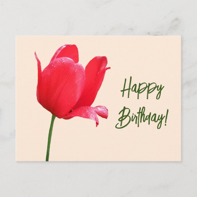 Happy Birthday red tulip minimalist floral boho  Postcard (Front)
