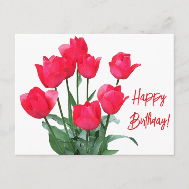 Happy Birthday red tulips colorful bright floral  Postcard (Front)