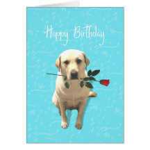 Happy Birthday, Retriever Dog with Rose, Adorable