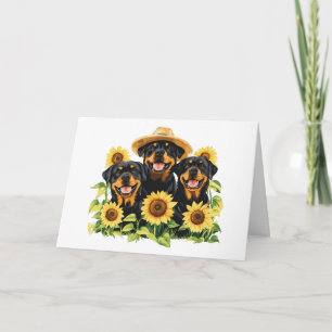 Happy Birthday Rottweiler Dogs Sunflowers Card