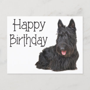 Happy Birthday Scottish Terrier Puppy Postcard