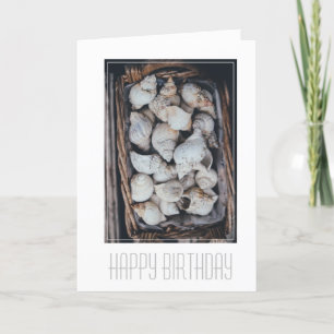 HAPPY BIRTHDAY  "SEASHELLS" CARD