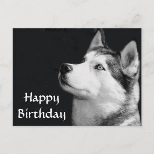 Happy Birthday Siberian Husky Puppy Dog Post Card