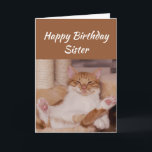Happy Birthday Sister Celebrate it any way Cat Fun Card<br><div class="desc">Happy Birthday Sister Celebrate it any way you want with a cute relaxing Cat Funny animal birthday greeting to customize</div>