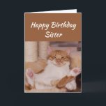 Happy Birthday Sister Celebrate it any way Cat Fun Card<br><div class="desc">Happy Birthday Sister Celebrate it any way you want with a cute relaxing Cat Funny animal birthday greeting to customize</div>