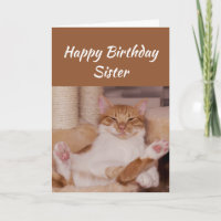 Happy Birthday Sister Celebrate it any way Cat Fun