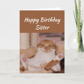 Happy Birthday Sister Celebrate it any way Cat Fun Card