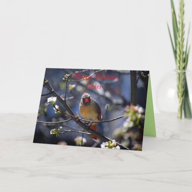 Happy Birthday Sister Female Cardinal Card (Front)