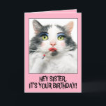 Happy Birthday Sister Funny Cat in Make Up Holiday Card<br><div class="desc">Tell your sister to get "dolled up" and enjoy their day to sparkle and shine with this hilarious cat in vibrant make up who just applied red lipstick when you wish them a Happy Birthday!</div>