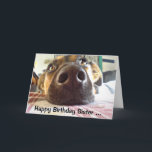 Happy Birthday Sister I NOSE it's your Cute Dog Card<br><div class="desc">Happy Birthday I nose it's your birthday,  Cute Dog Sister will appreciate this card</div>