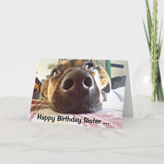 Happy Birthday Sister I NOSE it's your Cute Dog Card (Front)
