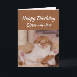Happy Birthday Sister-in-law Celebrate Funny Cat Card<br><div class="desc">Happy Birthday  Sister-in-law  Celebrate it any way you want with a cute relaxing Cat Funny animal birthday greeting to customize</div>