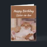 Happy Birthday Sister-in-law Celebrate Funny Cat Card<br><div class="desc">Happy Birthday  Sister-in-law  Celebrate it any way you want with a cute relaxing Cat Funny animal birthday greeting to customize</div>