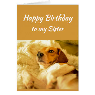 Happy Birthday Sister Real Age Humour Fun Dog