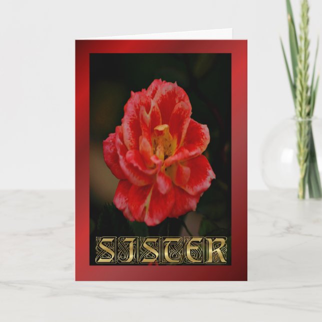 Happy Birthday Sister red rose Birthday wishes Card (Front)