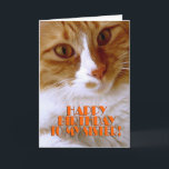Happy Birthday Sister - Sweet Cat Card<br><div class="desc">Wish your sister a "Happy Birthday",  with this cute card from my "Kitty Koolness" Collection,  featuring an adorable orange and white kitty. The inside can be kept as is,  or personalized by you for that added touch. photo by designer.</div>