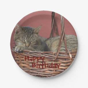 Happy Birthday Sleeping Kitty Paper Plate